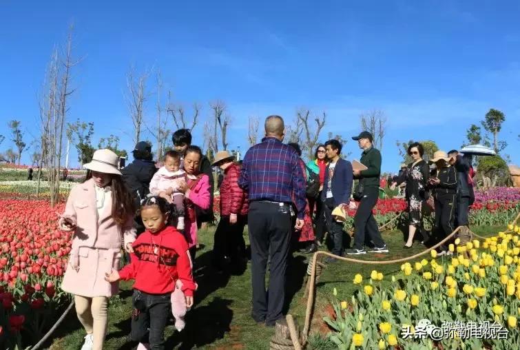 太热闹!弥勒花海、人海、车海、舞海...这些人上镜了!