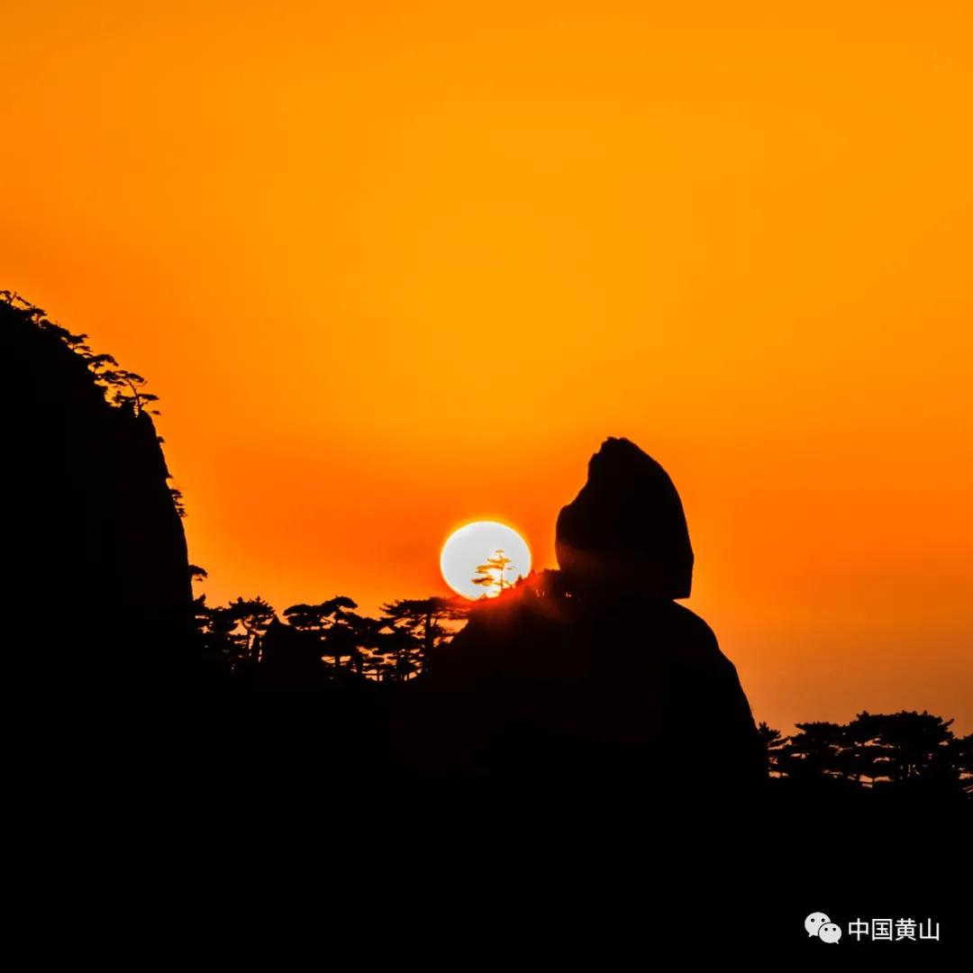 榛勫北绉嬪ぉ鎵撳崱,榛勫北绉嬪啲鎽勫奖澶ц禌