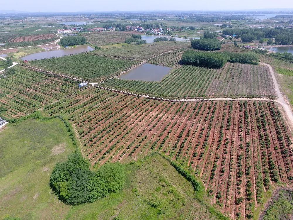 滁州市美景,安徽滁州美丽风景冬天视频