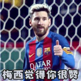 派迪茵射门训练器,派迪茵体育脚感训练器