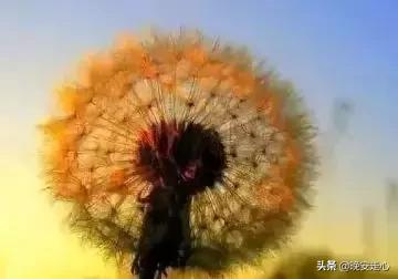 不理你的人就不要联系,不理你的人就不要再发信息了