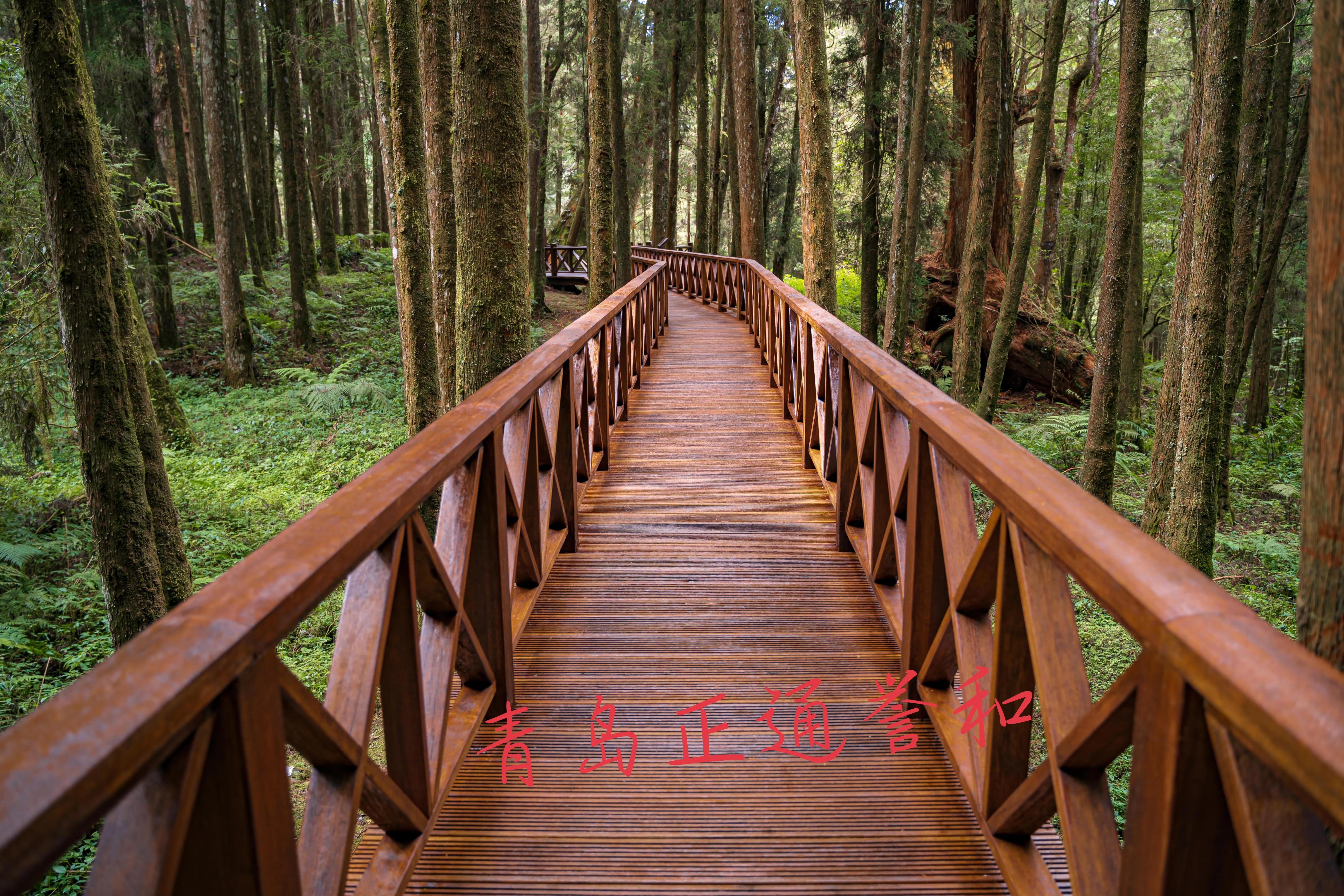 德国原装进口雷玛仕水性漆真伪 (德国雷玛仕水性漆分亚光和亮光吗)