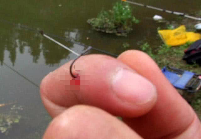 草鱼受伤怎么恢复,10斤草鱼手指受伤