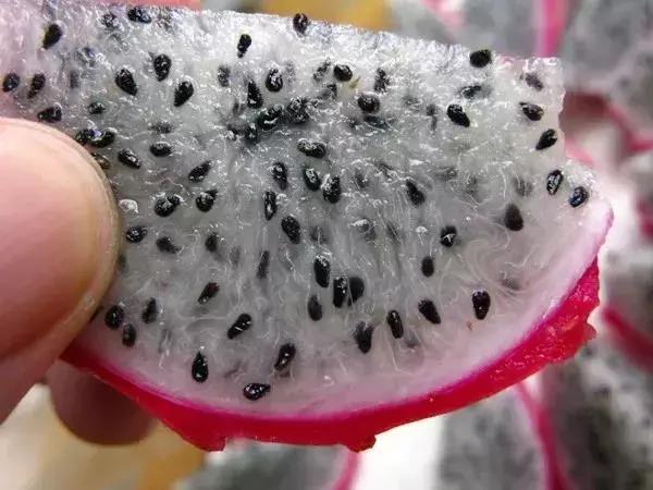又甜又香的火龙果,夏天火龙果这样吃太凉爽了