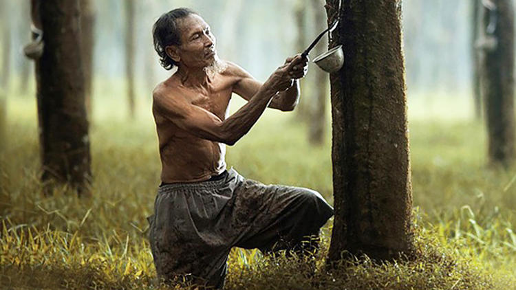 泰国品牌乳胶床垫排名第一,泰国乳胶床垫品牌价格表大全图