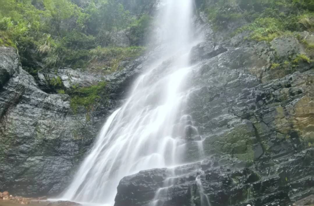 缙云山景区里美食,缙云山景区美食