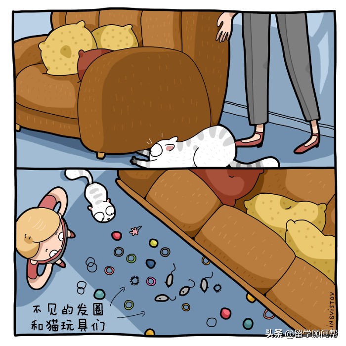 猫主子的日常暹罗猫铲屎官的乐趣,猫吸猫主子的日常