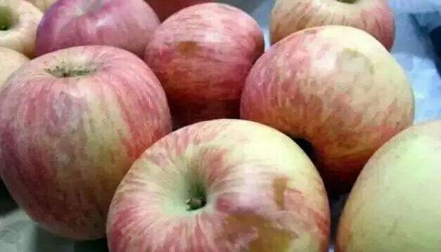 现在水果被雨淋还能吃吗,稍微腐烂的水果能吃吗