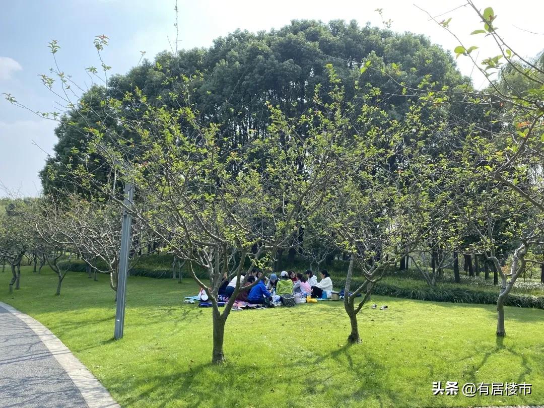 上海七宝房价下跌最快的区,飞机航线下的住宅有啥影响