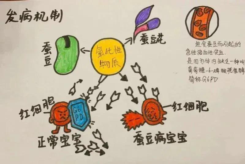 小孩打完新冠疫苗后可以吃头孢吗,小孩打完新冠疫苗后能吃退烧药吗