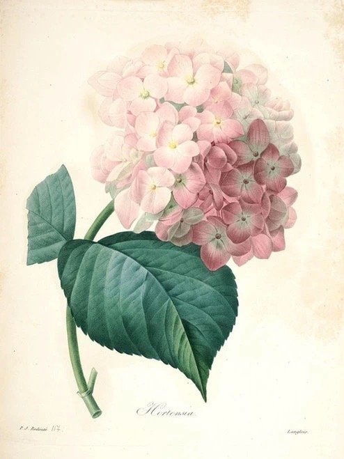 绚丽多彩的春天古诗,春天花开很美的古诗