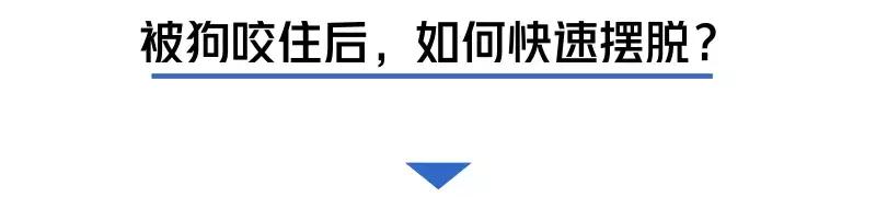 被猫狗咬伤如何正确处理,被猫狗咬伤十天了还能打针吗