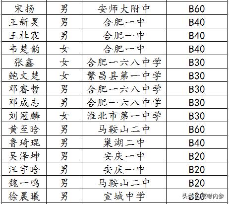 深度揭秘19年北京大学博雅计划安徽入选数据：两所高中遥遥领先