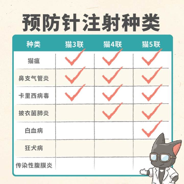 刚买的幼猫怎么养正确方法图文,养幼猫怎么教用猫砂