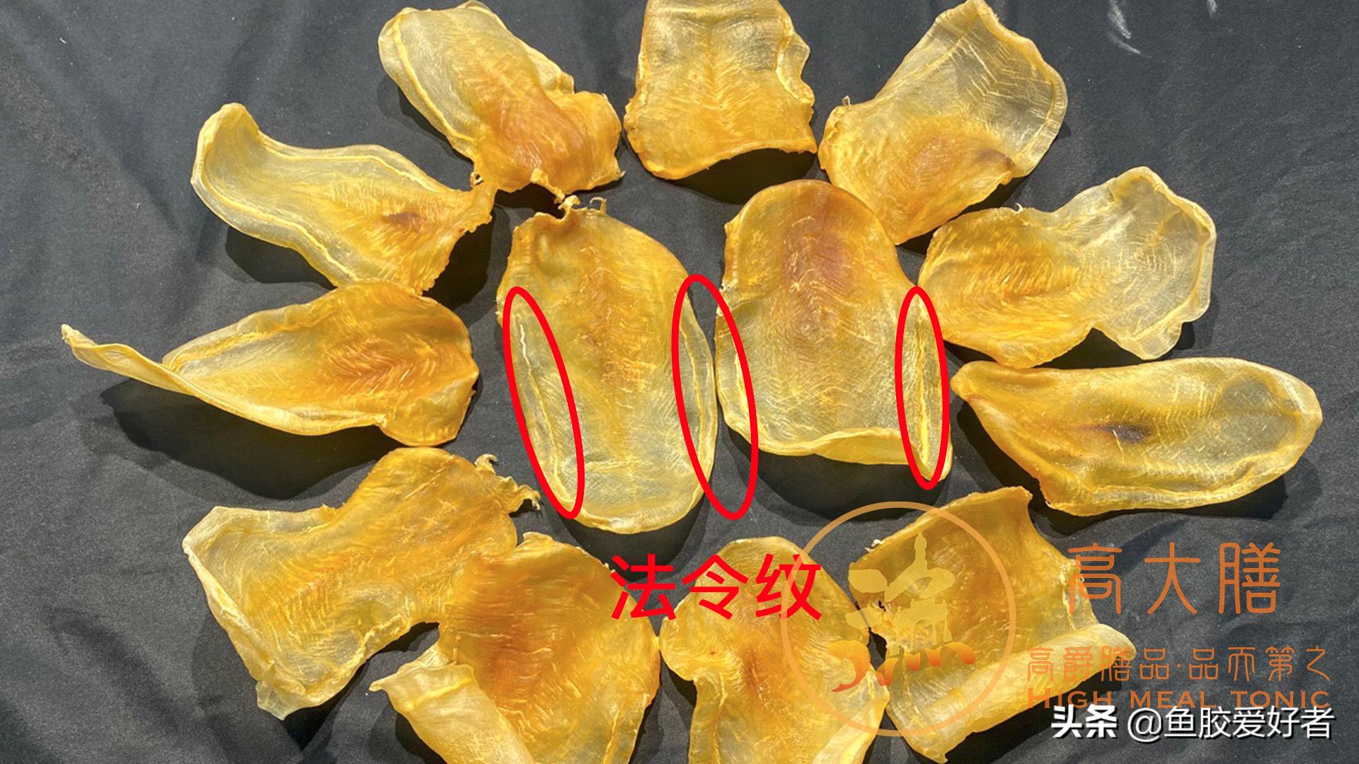 白花胶鱼胶的功效与作用及禁忌症,白花鱼胶属于什么档次