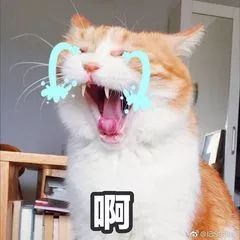 包包小ck香风,小ckmini口红包包