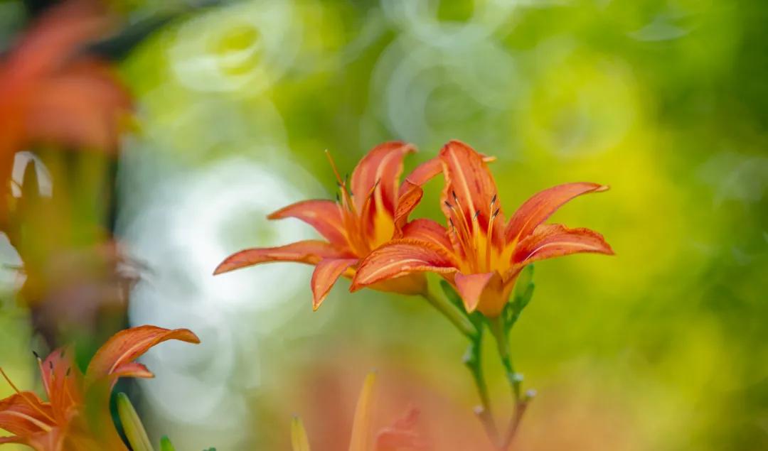 在济南花式避暑，一见“清”心！只需一瞥，便足以把酷夏原谅…