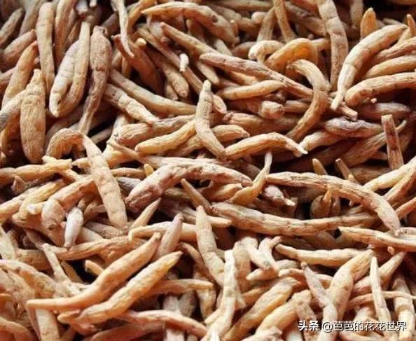 黔东南世外桃源,黔东南春节游玩推荐