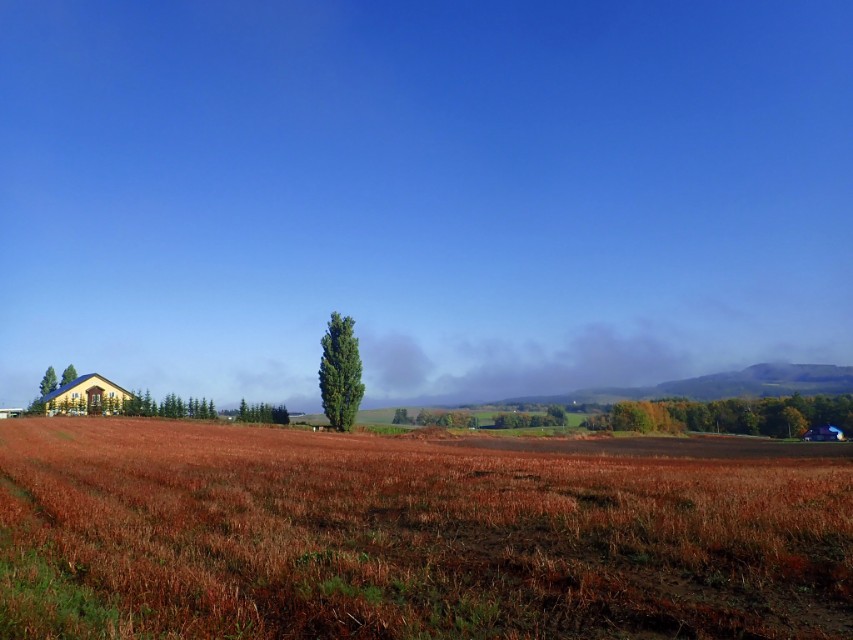 日本从南到北旅游路线,从南游到北