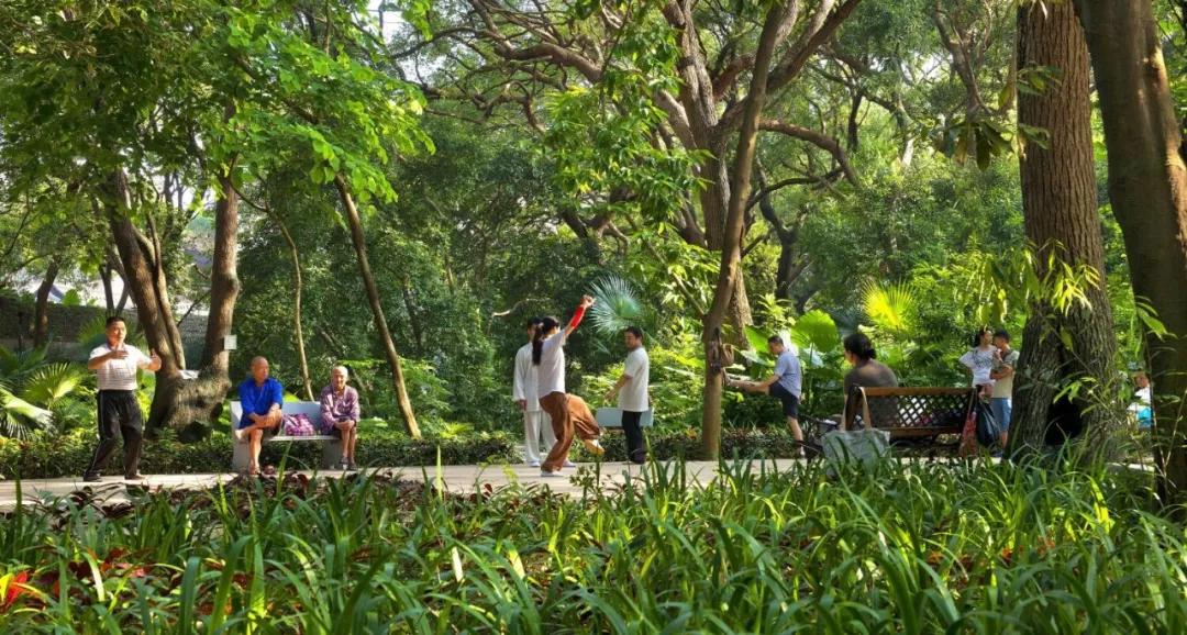 虎兄虎弟的一个故事,虎兄虎弟故事