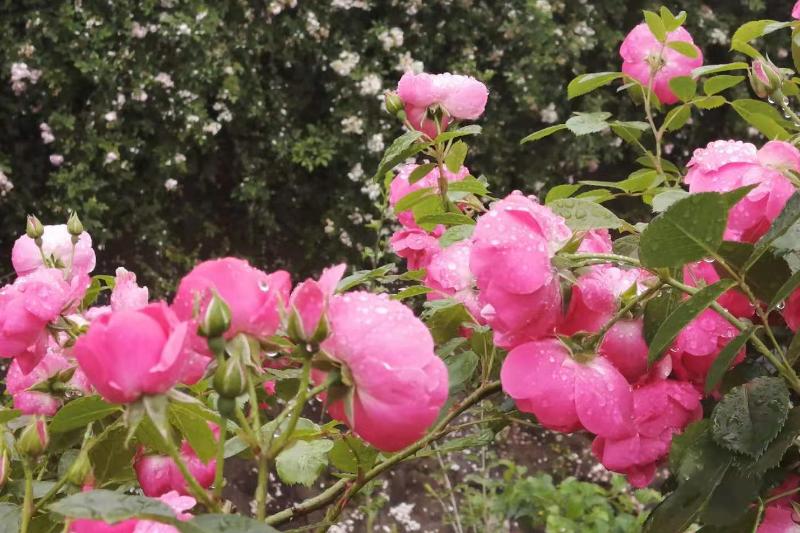 如何面对你讨厌的群体,面对讨厌的人怎么控制自己的情绪