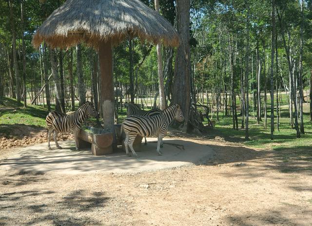 比国内便宜旅游地,有哪些国外游比国内游还便宜