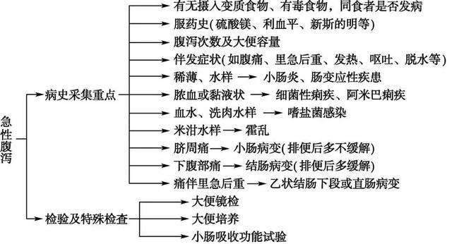 地摊经济火了！但吃了不卫生的地摊小吃导致拉肚子腹泻了怎么办？