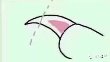 新手养猫注意事项以及幼猫到新家,新手养猫养什么猫又便宜又好养