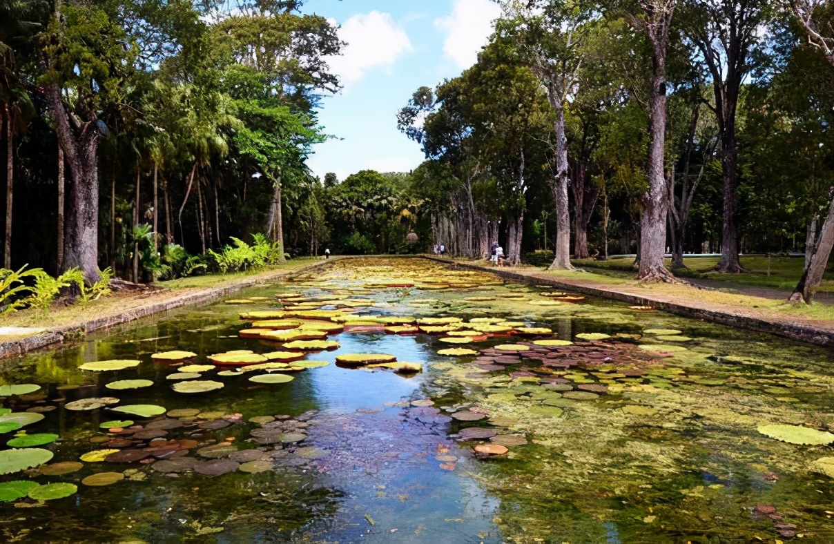 毛里求斯自由行准备,毛里求斯旅游6天5晚