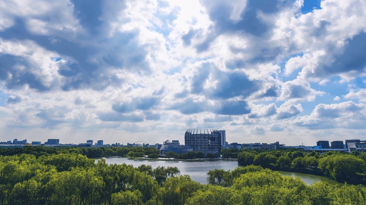 全国前十大专业,各专业全国第一的大学