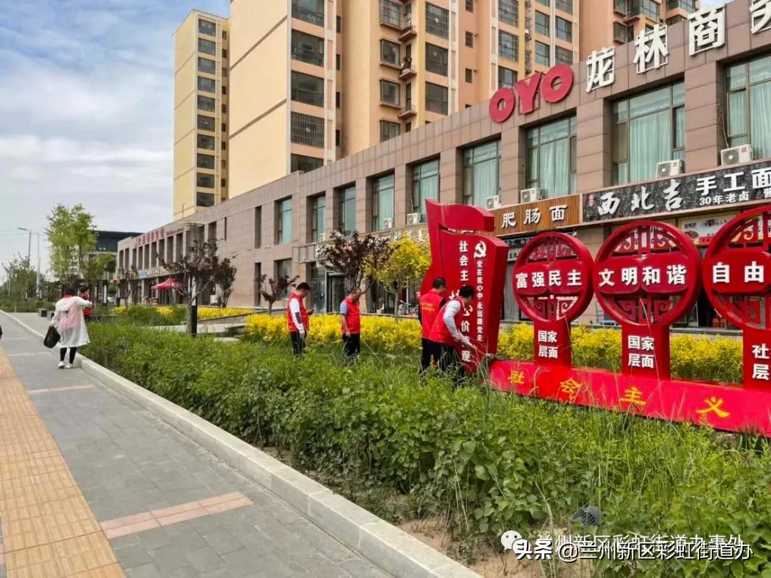 【彩虹·动态】祥和景苑社区开展“低碳环保践于行绿色家园齐守护”爱国卫生运动