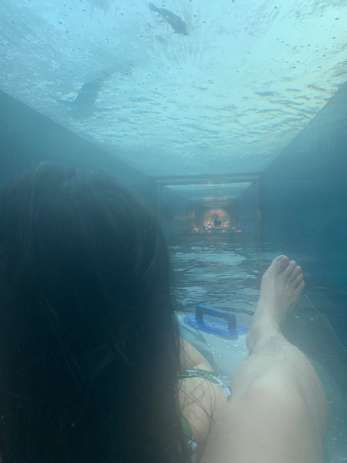 到阿联酋旅行自由行行程,中国到迪拜和埃及旅游攻略路线