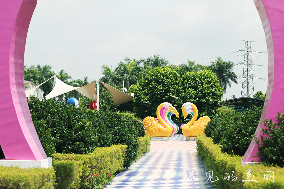 百万葵园有多坑,百万葵园免门票