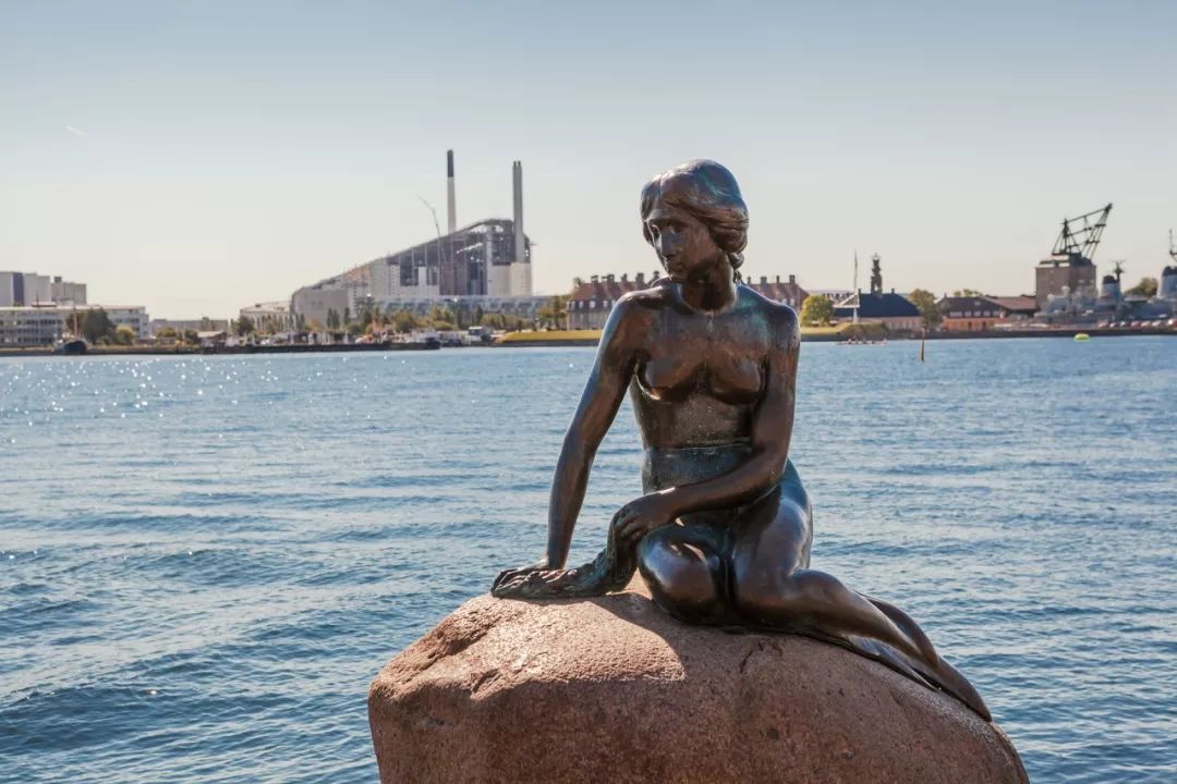 真羡慕丹麦人，连大象都提前退休了