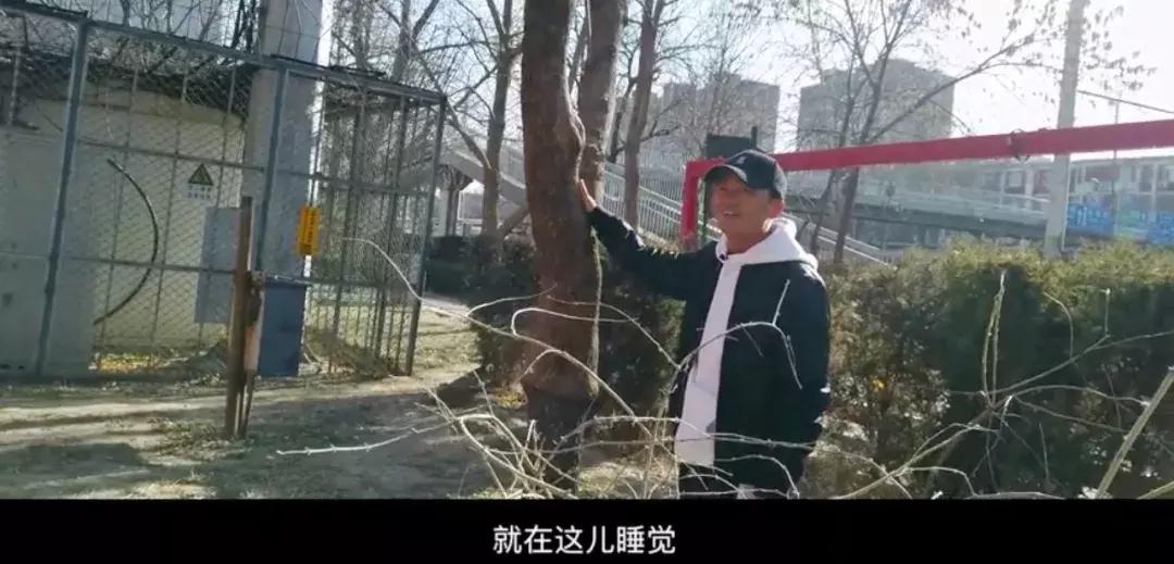 周星驰的饭,周星驰家常饭