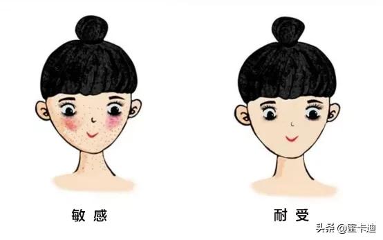 全部皮肤知识大全,四张图让你明白你是什么皮肤