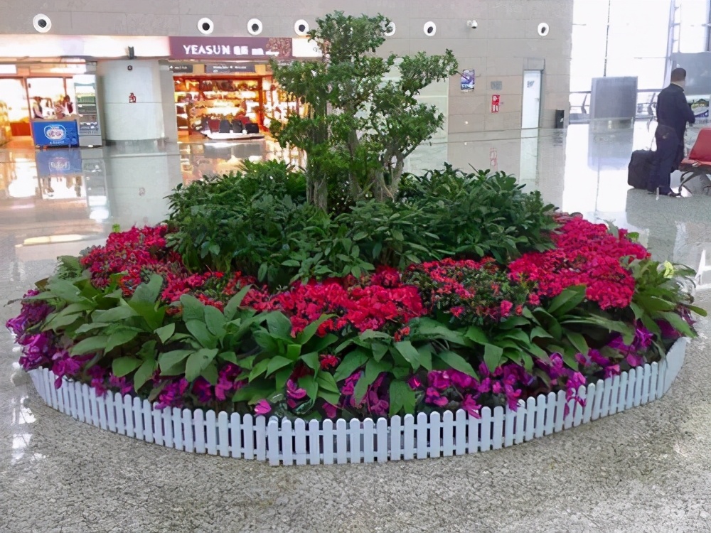 花卉租摆报价表怎么做,花卉租摆属于什么行业