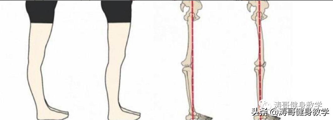 经期瘦肌肉腿最快方法3天,学生瘦肌肉腿方法1天见效