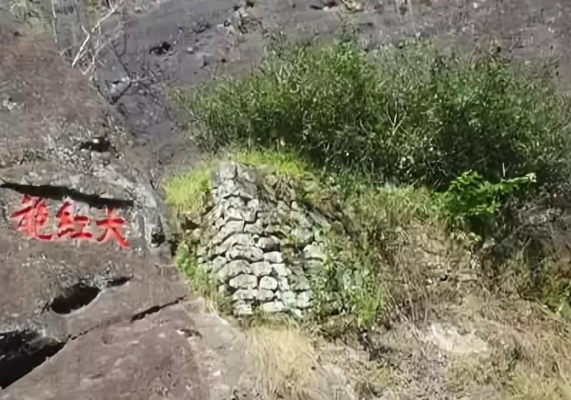 十大名茶排名前十名的酒,中国八大名酒十大名茶