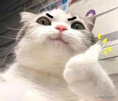 水乳上黑名单了,告别黑黄水乳