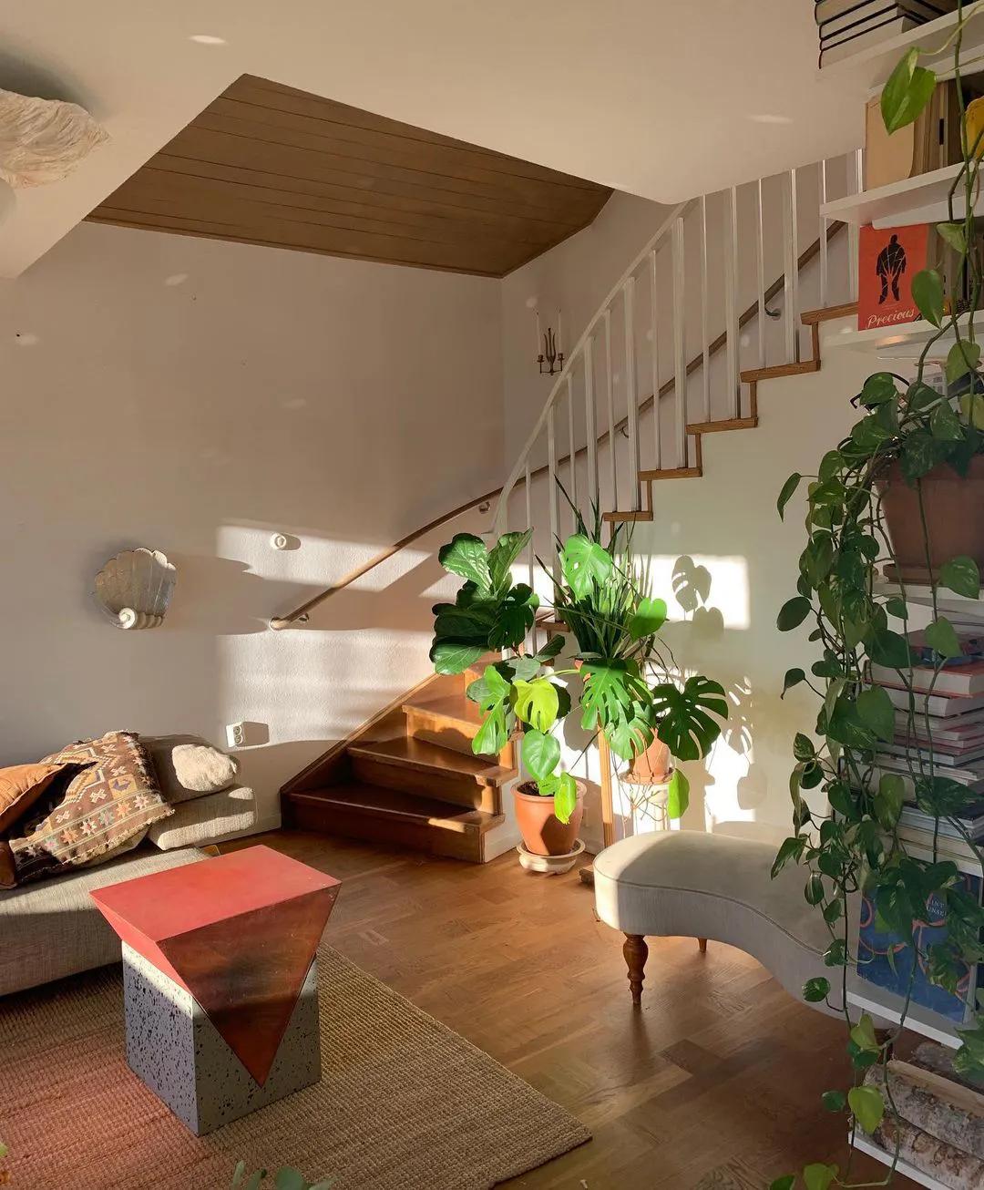 鍘昏В蹇ф潅璐у簵瑙ｅ咖,鍘昏В蹇ф潅璐у簵