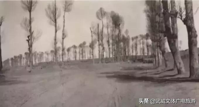 1959的武威老照片,武威老照片40里铺