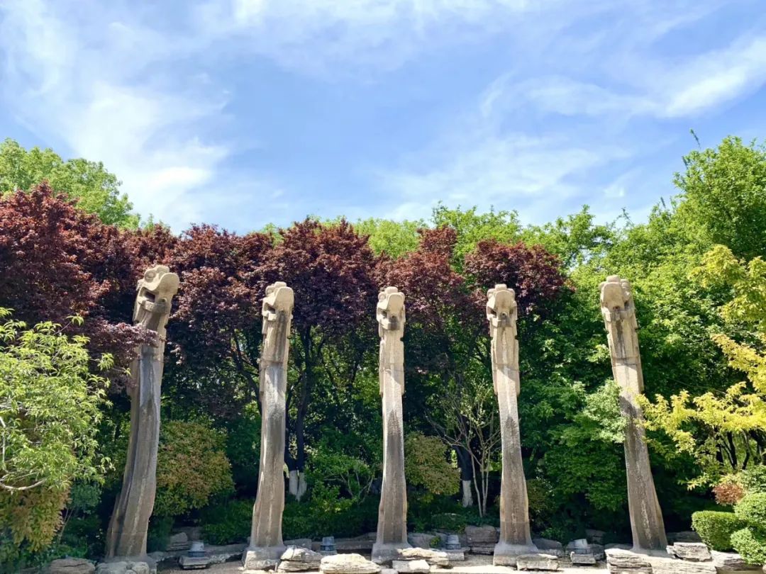 济南适合带孩子去的地方春天,周末遛娃的好去处好玩又免费济南