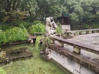 武汉东湖的前世今生，传奇背后藏着一位大佬