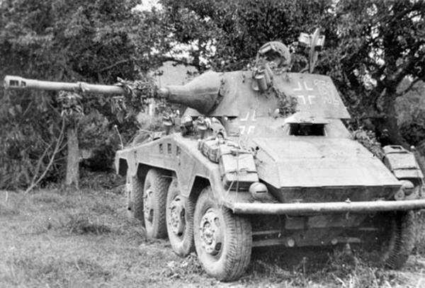 鍧﹀厠鐨勫ソ浼翠荆鍜屾鍏靛摢涓ソ,鍧﹀厠鐨勫ソ浼翠荆vs姝ュ叺鐨勪繚鎶ょ