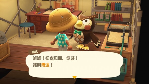 动物之森新手登录教程,动物之森新手攻略手机版