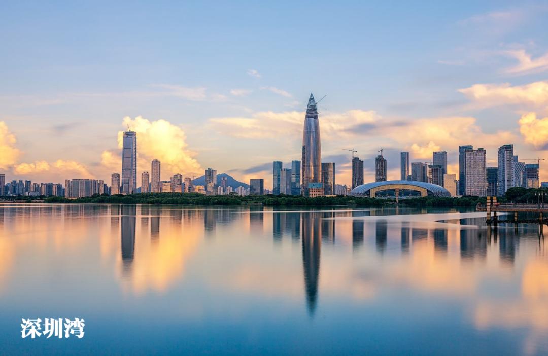 深圳湾在哪里,深圳湾是什么区的