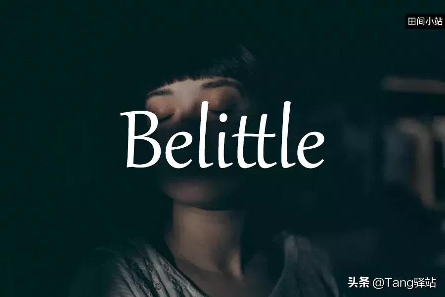 小词大用例句10个字,小词的全部视频