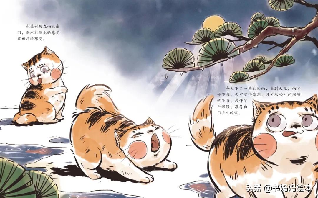 故宫御猫夜游记原创,北京故宫御猫夜游记