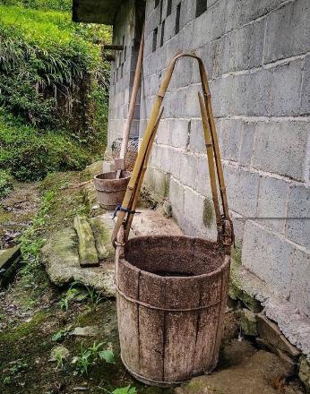 岁月中的营养，匆忙间吃成了果腹的快餐